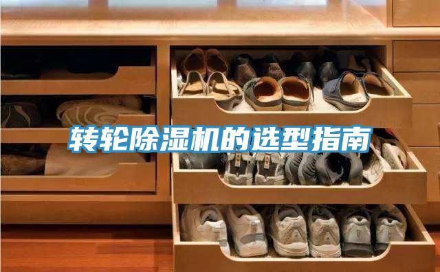 转轮猫咪成人官网的选型指南