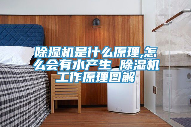 猫咪成人官网是什么原理,怎么会有水产生 猫咪成人官网工作原理图解