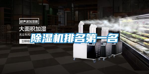 猫咪成人官网排名第一名