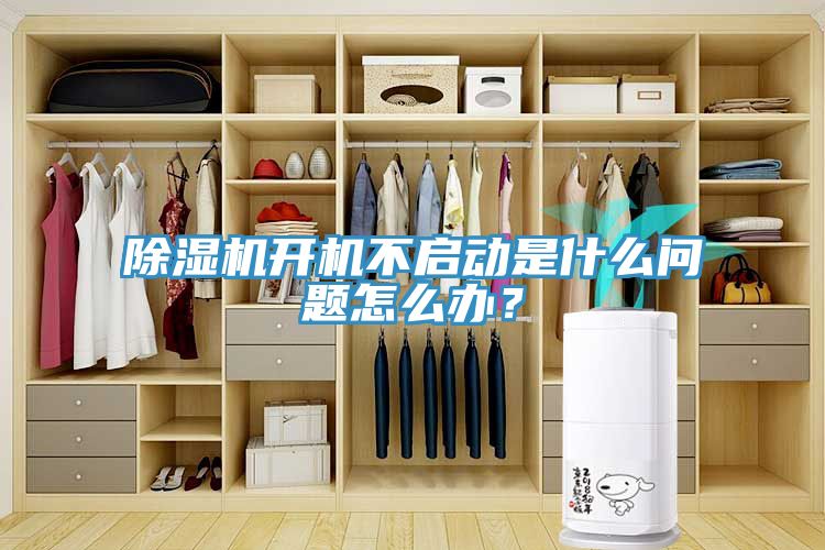 猫咪成人官网开机不启动是什么问题怎么办？
