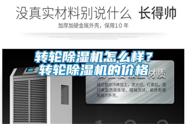 转轮猫咪成人官网怎么样？转轮猫咪成人官网的价格