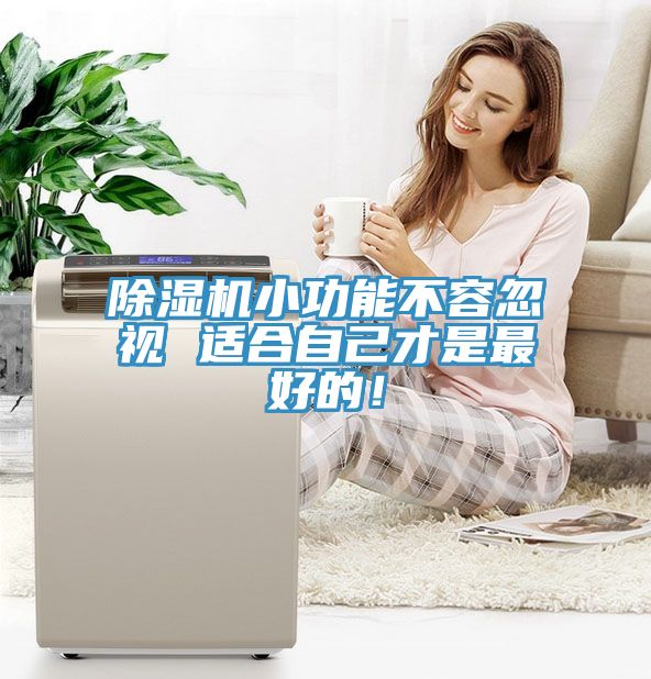 猫咪成人官网小功能不容忽视 适合自己才是最好的！