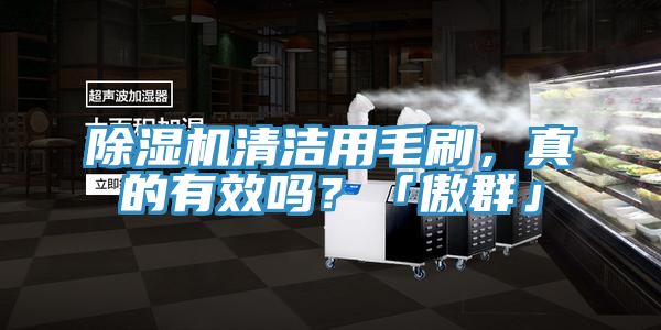 猫咪成人官网清洁用毛刷，真的有效吗？「傲群」