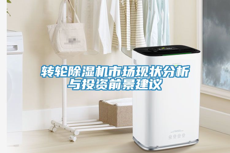 转轮猫咪成人官网市场现状分析与投资前景建议