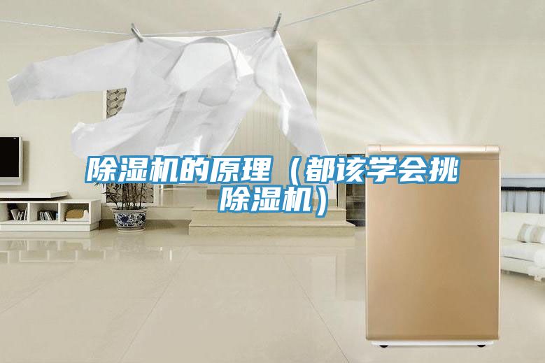 猫咪成人官网的原理（都该学会挑猫咪成人官网）