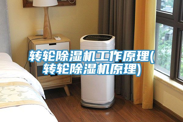 转轮猫咪成人官网工作原理(转轮猫咪成人官网原理)