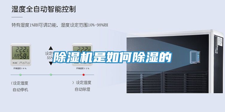 猫咪成人官网是如何除湿的