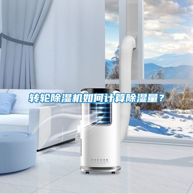 转轮猫咪成人官网如何计算除湿量？