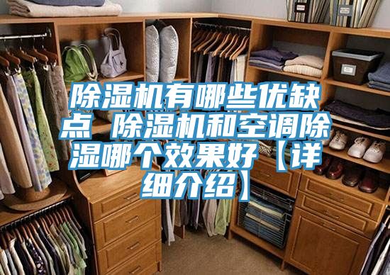 猫咪成人官网有哪些优缺点 猫咪成人官网和空调除湿哪个效果好【详细介绍】