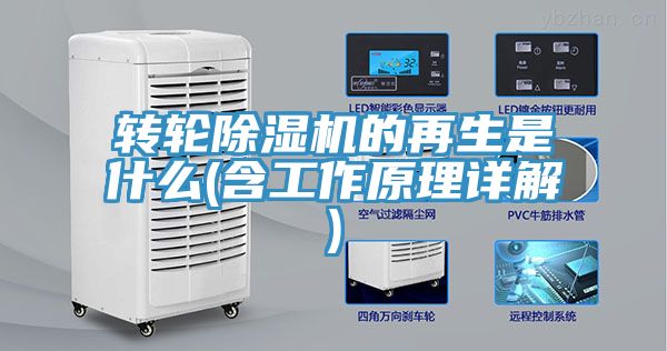 转轮猫咪成人官网的再生是什么(含工作原理详解)