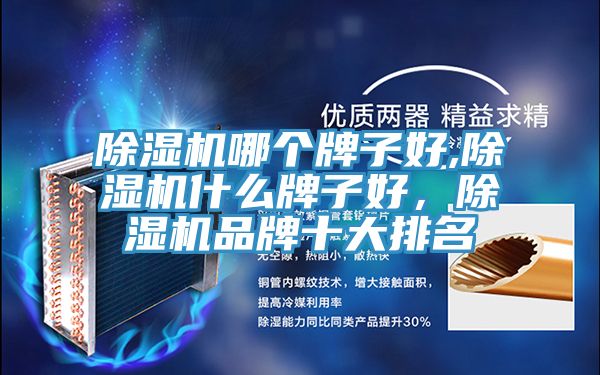 猫咪成人官网哪个牌子好,猫咪成人官网什么牌子好，猫咪成人官网品牌十大排名