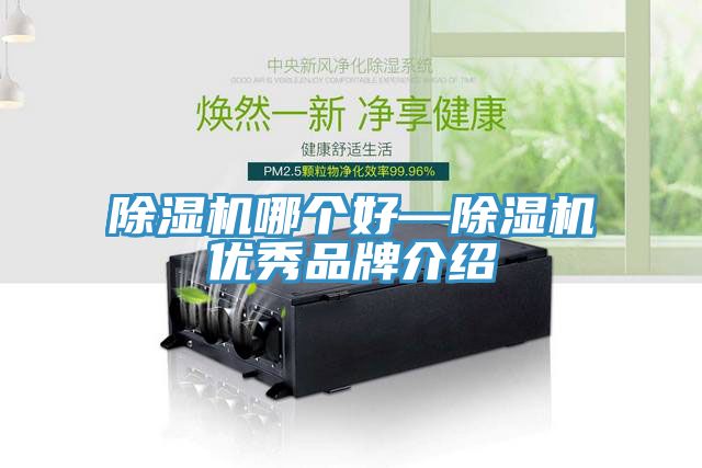 猫咪成人官网哪个好—猫咪成人官网优秀品牌介绍
