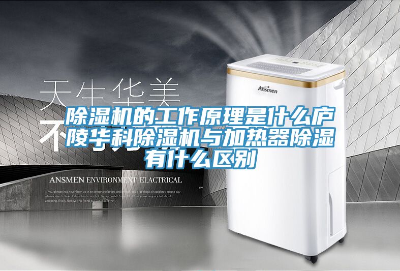 猫咪成人官网的工作原理是什么庐陵华科猫咪成人官网与加热器除湿有什么区别