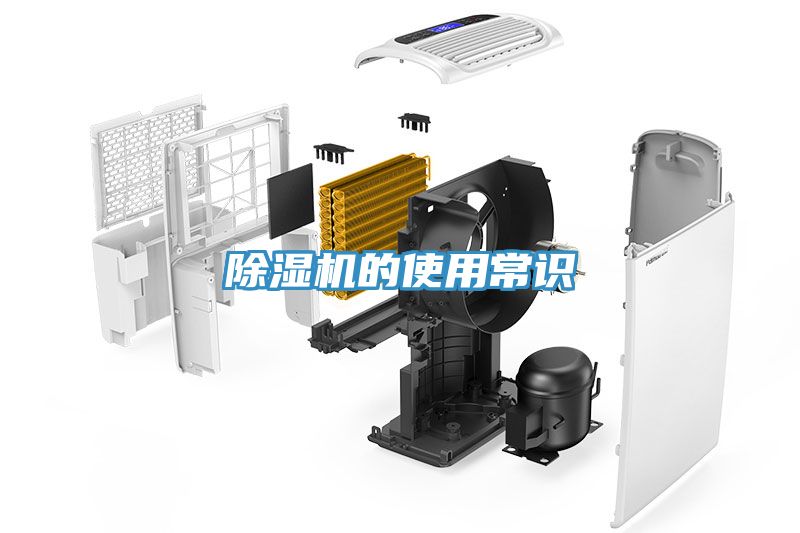猫咪成人官网的使用常识