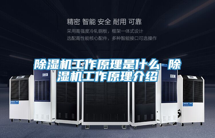 猫咪成人官网工作原理是什么 猫咪成人官网工作原理介绍
