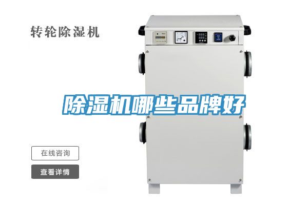猫咪成人官网哪些品牌好