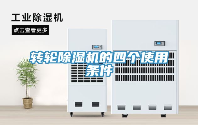 转轮猫咪成人官网的四个使用条件