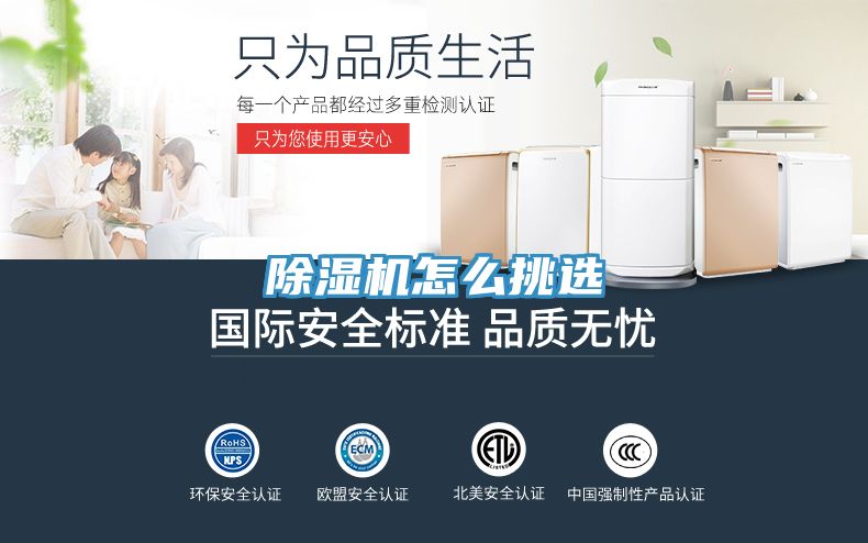 猫咪成人官网怎么挑选