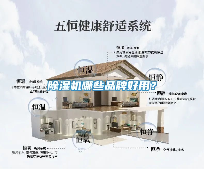 猫咪成人官网哪些品牌好用？