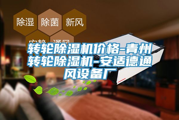 转轮猫咪成人官网价格-青州转轮猫咪成人官网-安适德通风设备厂