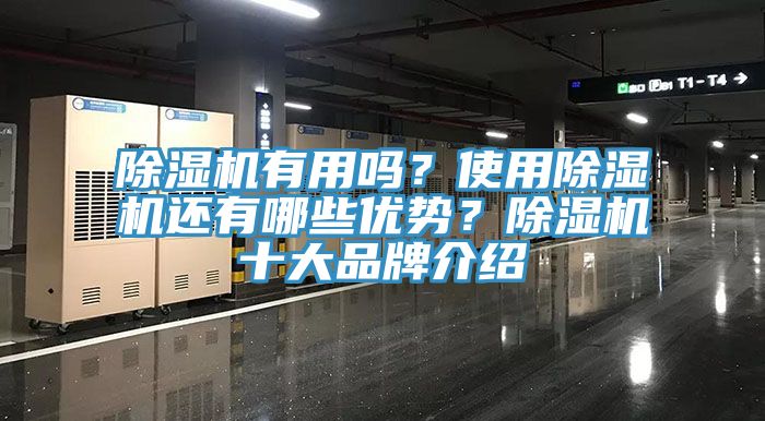 猫咪成人官网有用吗？使用猫咪成人官网还有哪些优势？猫咪成人官网十大品牌介绍