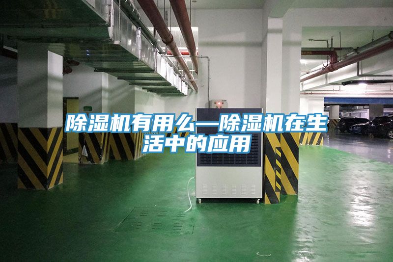 猫咪成人官网有用么—猫咪成人官网在生活中的应用