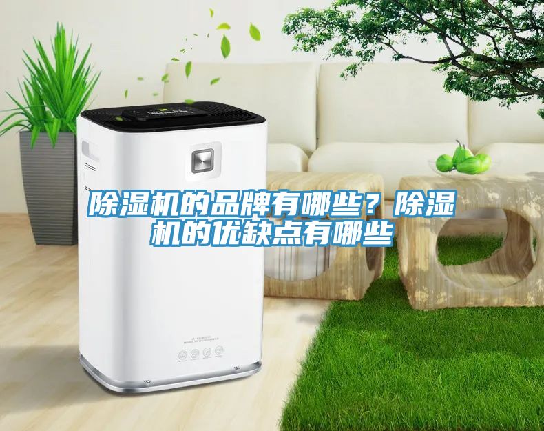 猫咪成人官网的品牌有哪些？猫咪成人官网的优缺点有哪些