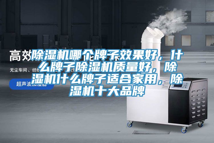 猫咪成人官网哪个牌子效果好，什么牌子猫咪成人官网质量好，猫咪成人官网什么牌子适合家用，猫咪成人官网十大品牌