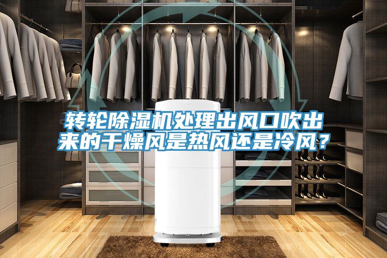 转轮猫咪成人官网处理出风口吹出来的干燥风是热风还是冷风？
