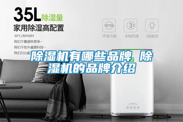 猫咪成人官网有哪些品牌 猫咪成人官网的品牌介绍