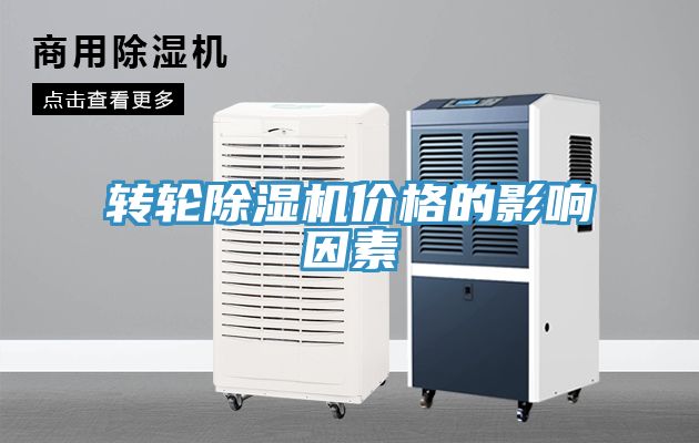 转轮猫咪成人官网价格的影响因素