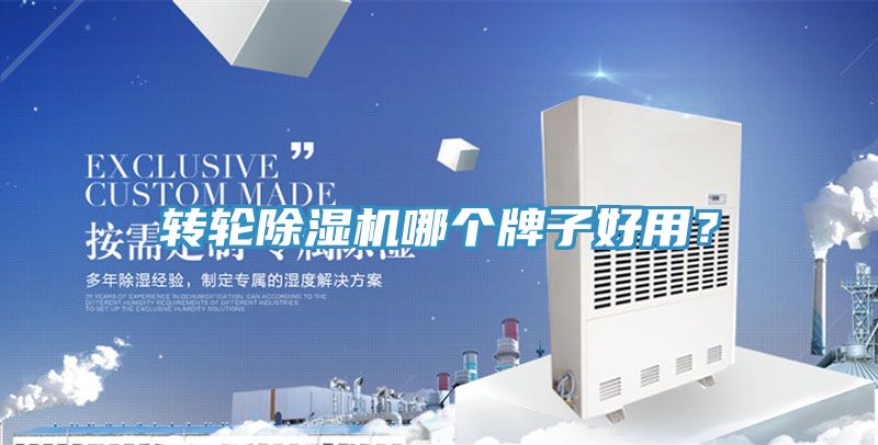 转轮猫咪成人官网哪个牌子好用？