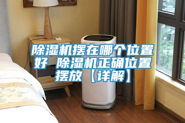 猫咪成人官网摆在哪个位置好 猫咪成人官网正确位置摆放【详解】