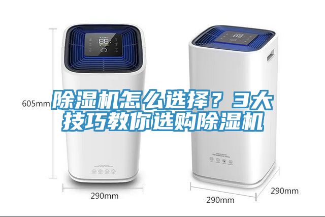 猫咪成人官网怎么选择？3大技巧教你选购猫咪成人官网