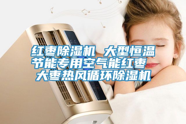 红枣猫咪成人官网 大型恒温节能专用空气能红枣 大枣热风循环猫咪成人官网