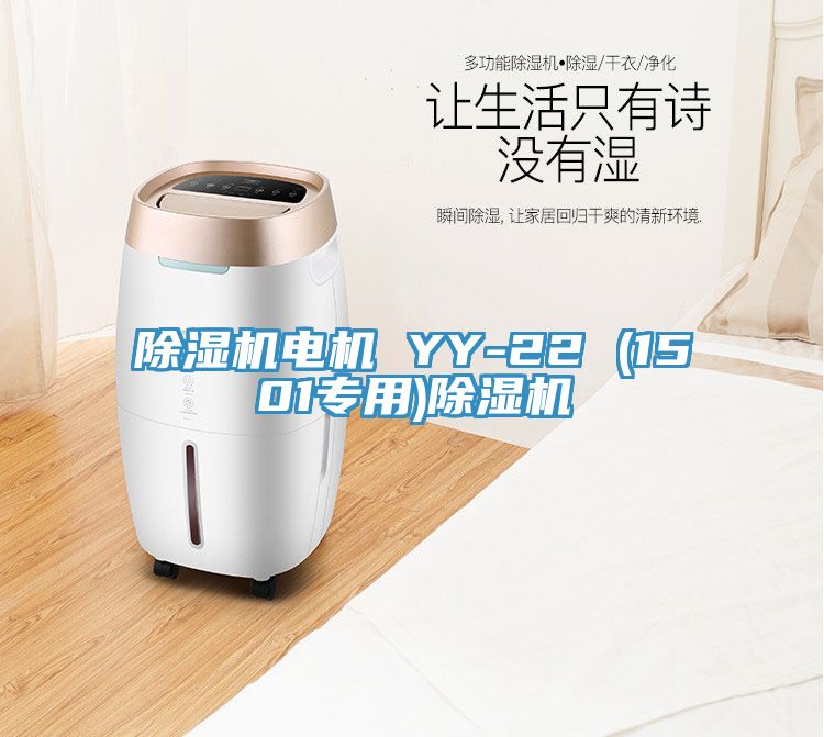 猫咪成人官网电机 YY-22 (1501专用)猫咪成人官网