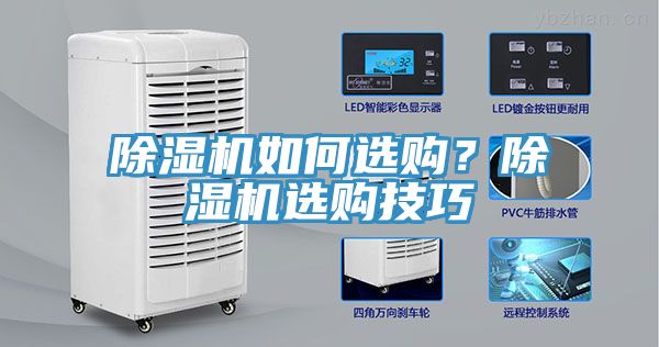 猫咪成人官网如何选购？猫咪成人官网选购技巧