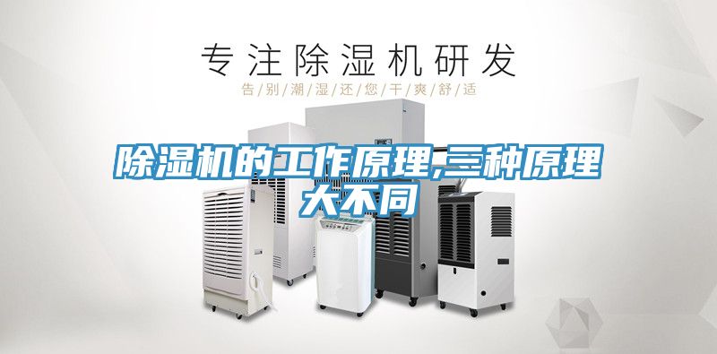 猫咪成人官网的工作原理,三种原理大不同