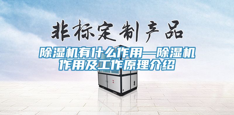 猫咪成人官网有什么作用—猫咪成人官网作用及工作原理介绍