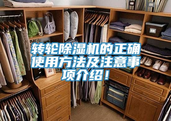 转轮猫咪成人官网的正确使用方法及注意事项介绍！