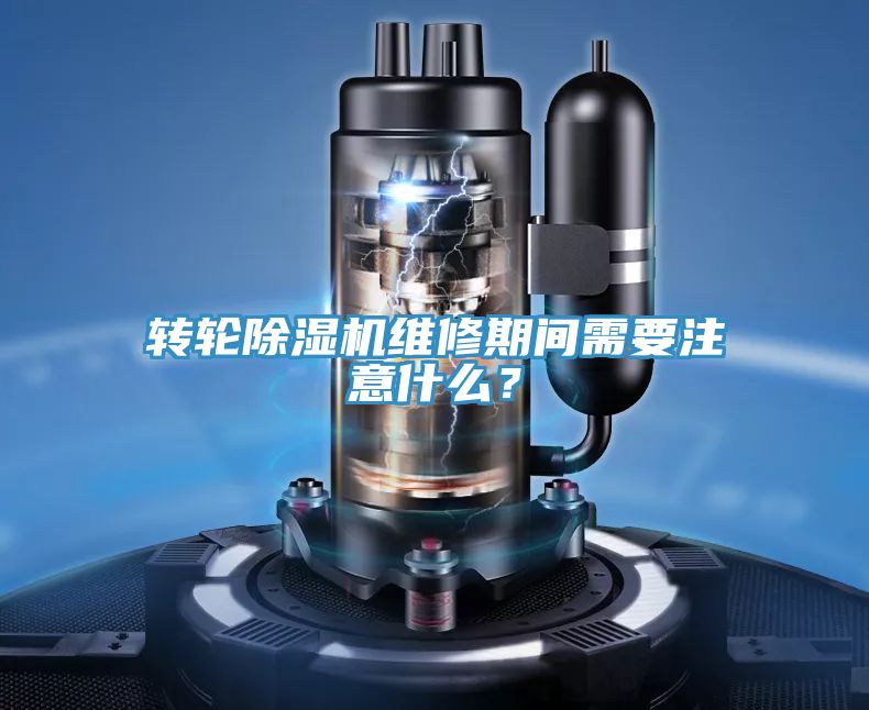 转轮猫咪成人官网维修期间需要注意什么？