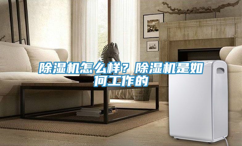 猫咪成人官网怎么样？猫咪成人官网是如何工作的