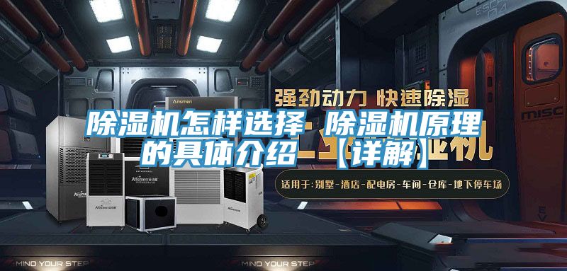 猫咪成人官网怎样选择 猫咪成人官网原理的具体介绍 【详解】