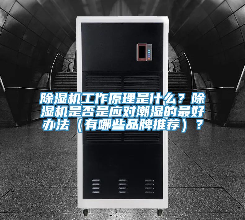猫咪成人官网工作原理是什么？猫咪成人官网是否是应对潮湿的最好办法（有哪些品牌推荐）？