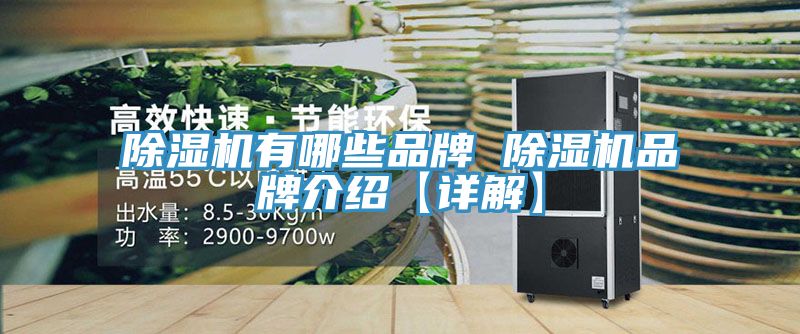 猫咪成人官网有哪些品牌 猫咪成人官网品牌介绍【详解】
