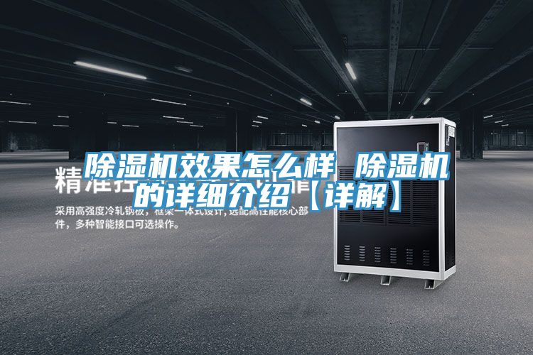 猫咪成人官网效果怎么样 猫咪成人官网的详细介绍【详解】