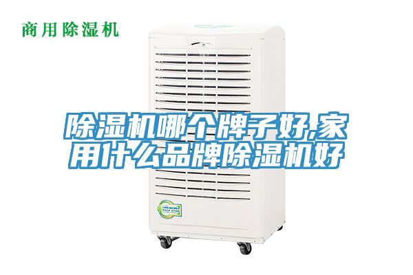 猫咪成人官网哪个牌子好,家用什么品牌猫咪成人官网好