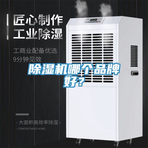 猫咪成人官网哪个品牌好？