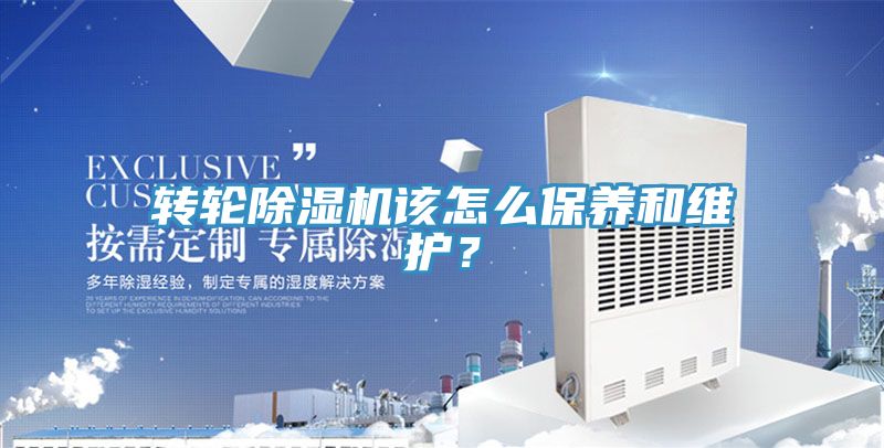 转轮猫咪成人官网该怎么保养和维护？