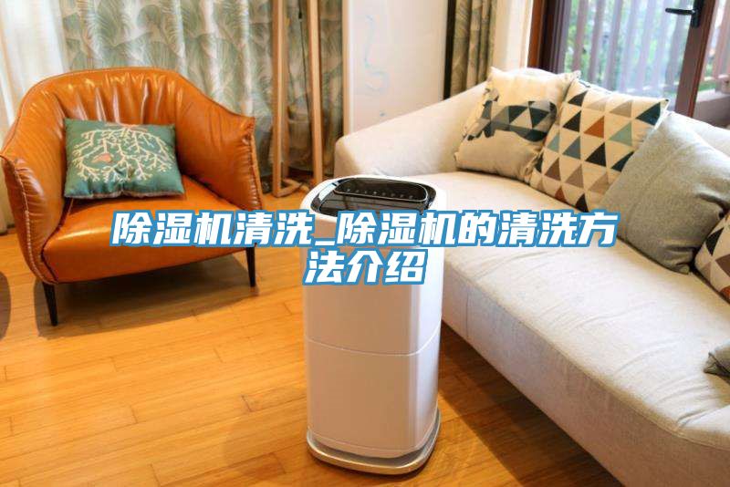 猫咪成人官网清洗_猫咪成人官网的清洗方法介绍